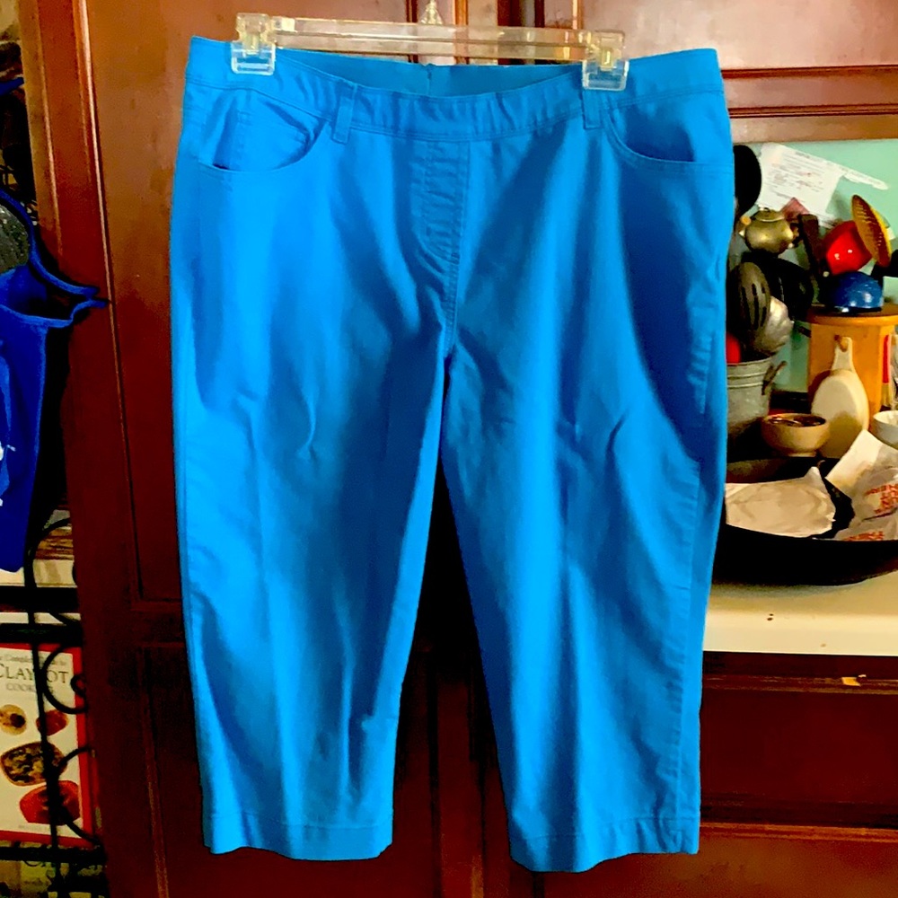 Allison Daley blue slip on capris!